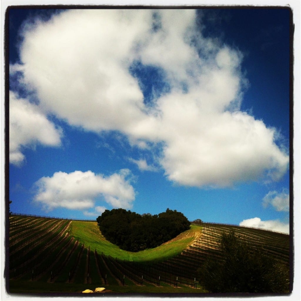 hearthill paso robles wine country