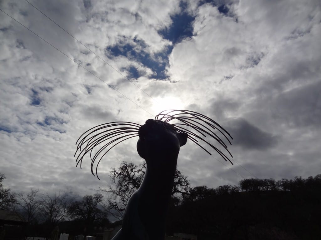 sculptera paso robles