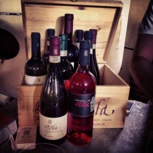 On the Piemonte Wine Trail: Stella