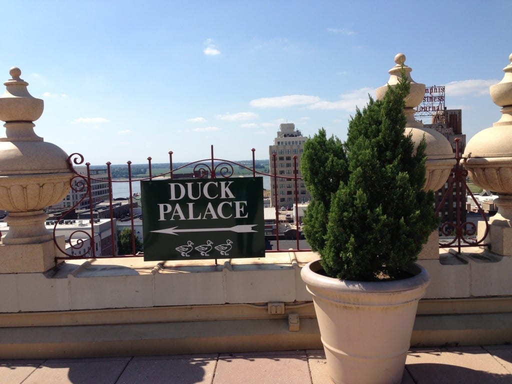 The Peabody Hotel Ducks