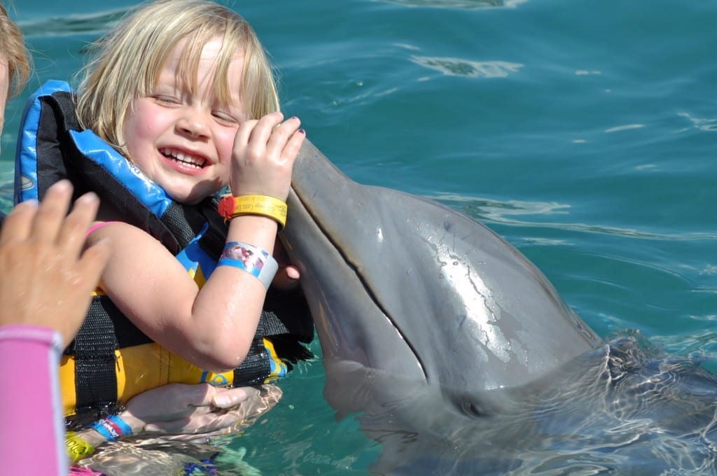 disney cruise dolphins
