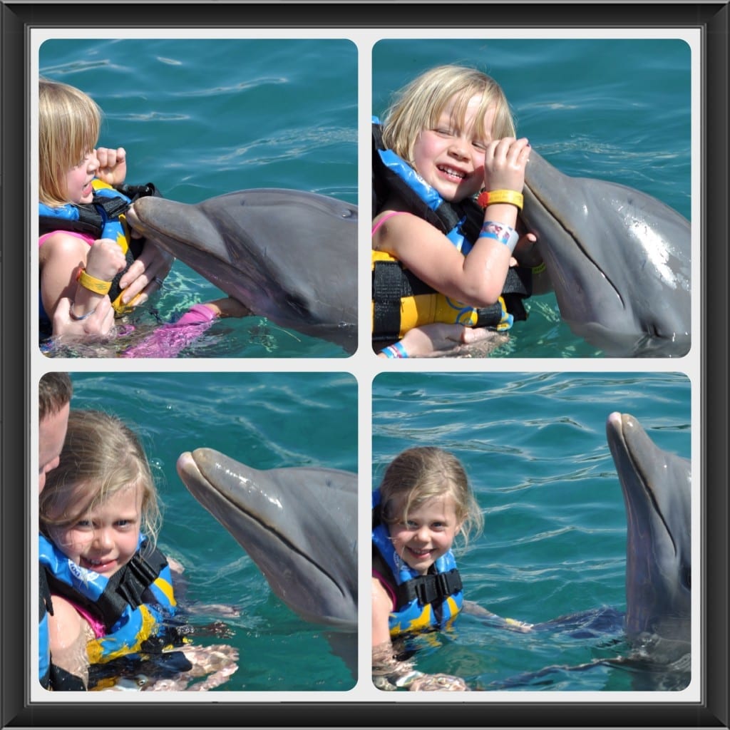 dolphin discovery Chankanaab Park