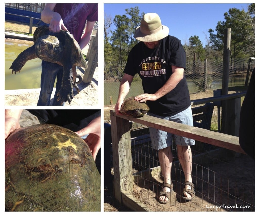 Gator Country in Beaumont TX, alligator and croc rescue. Great learning experience for kids - and adults. Click through to see why.