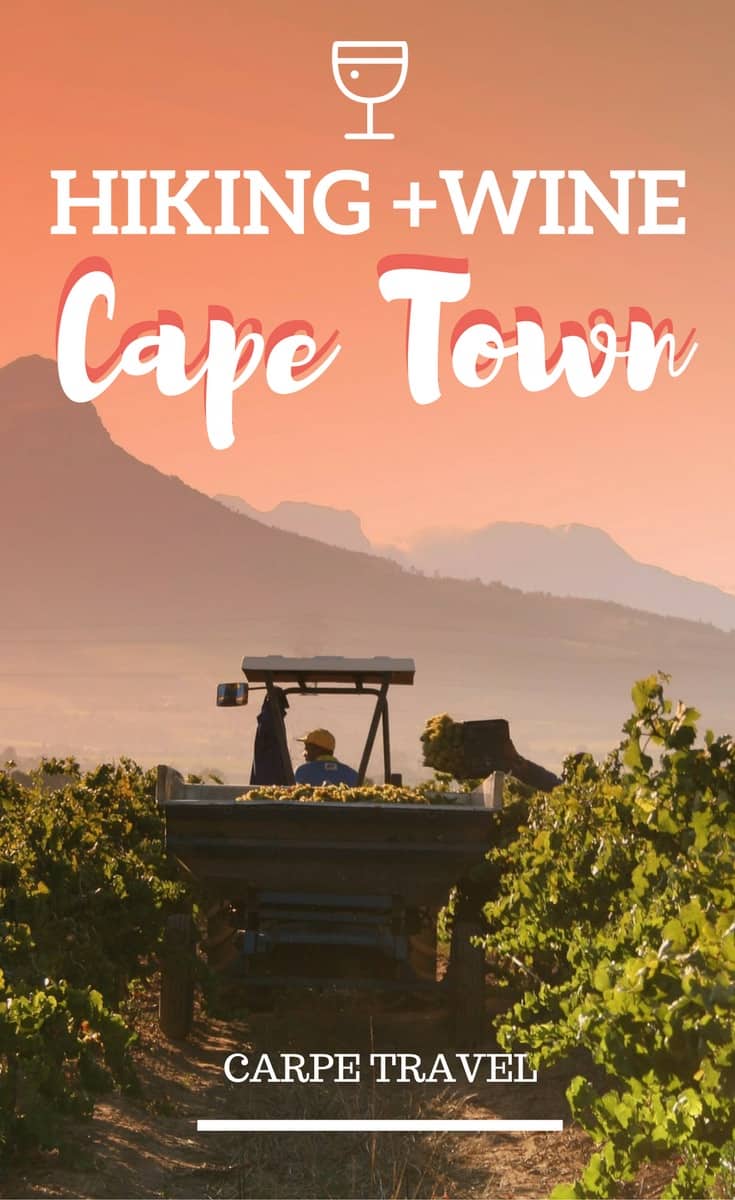 The Cape Winelands in South Africa hold a multitude of hiking trails that wind almost endlessly through this perfect part of the world. These same mountainsides are also home to a wide collection of world famous wine estates where you can enjoy wine tastings, as well as delicious meals paired with carefully selected wines. Click over for where to sip along the way.
