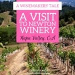 Napa Valley: Newton Winery