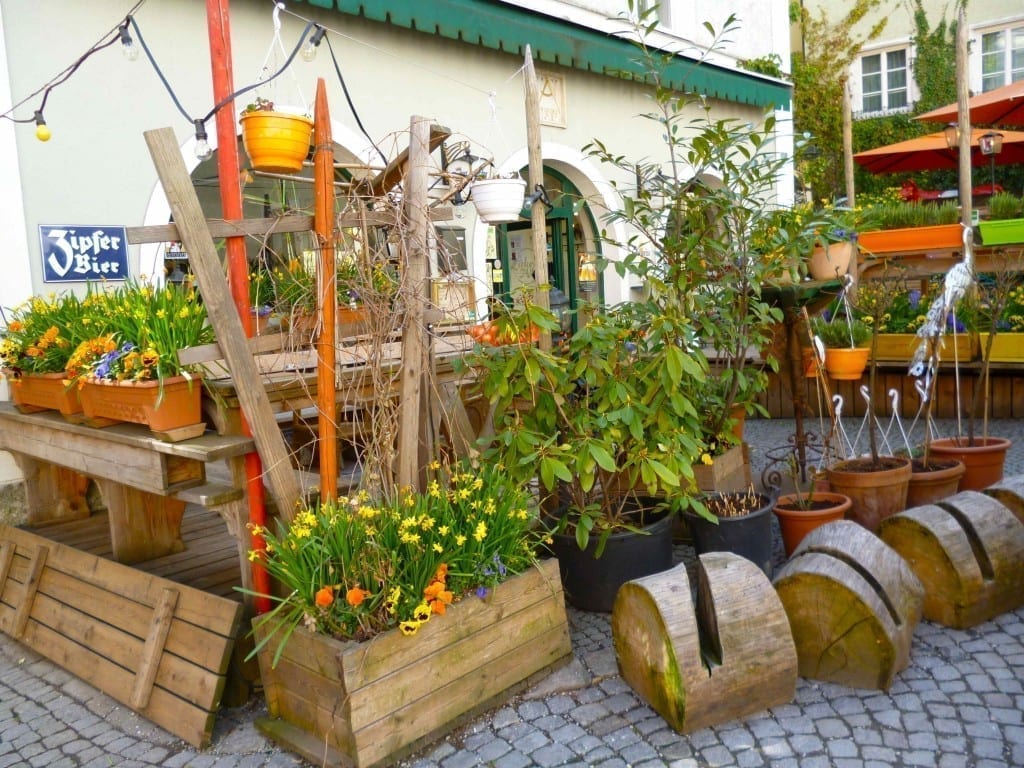 plant shop in salzburg