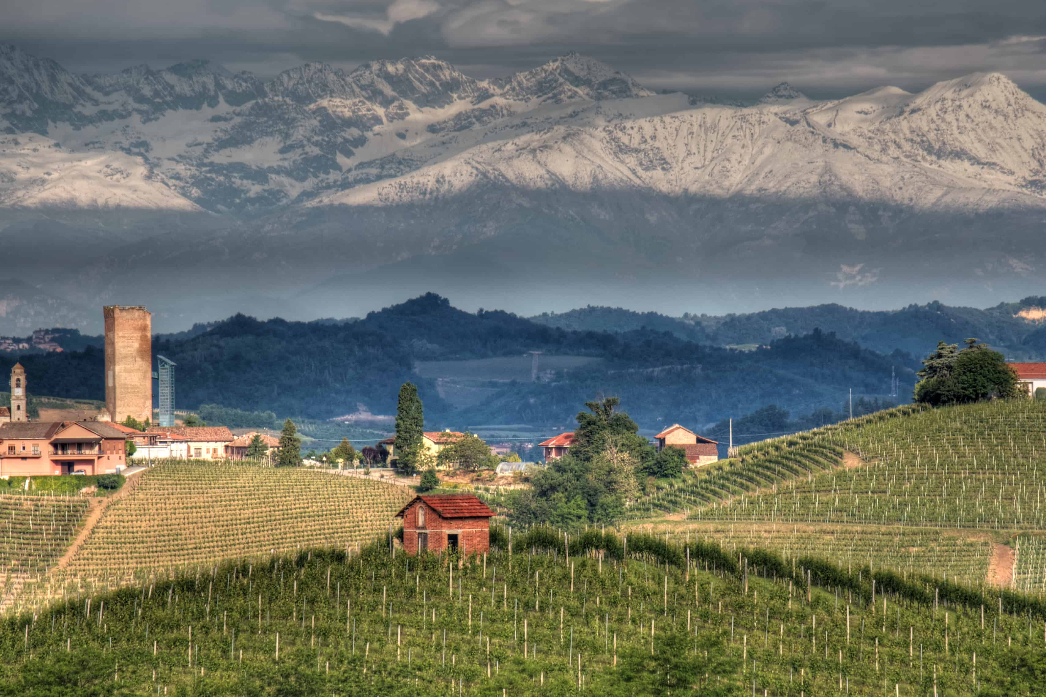 The Intoxication of Piedmont