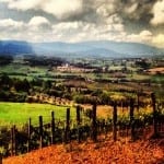 Being in the right place at the right time = an unforgettable day of wine tasting in Montalcino