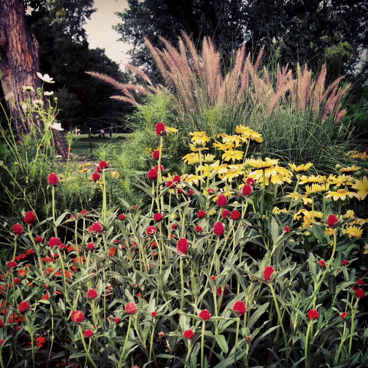 washington park gardens