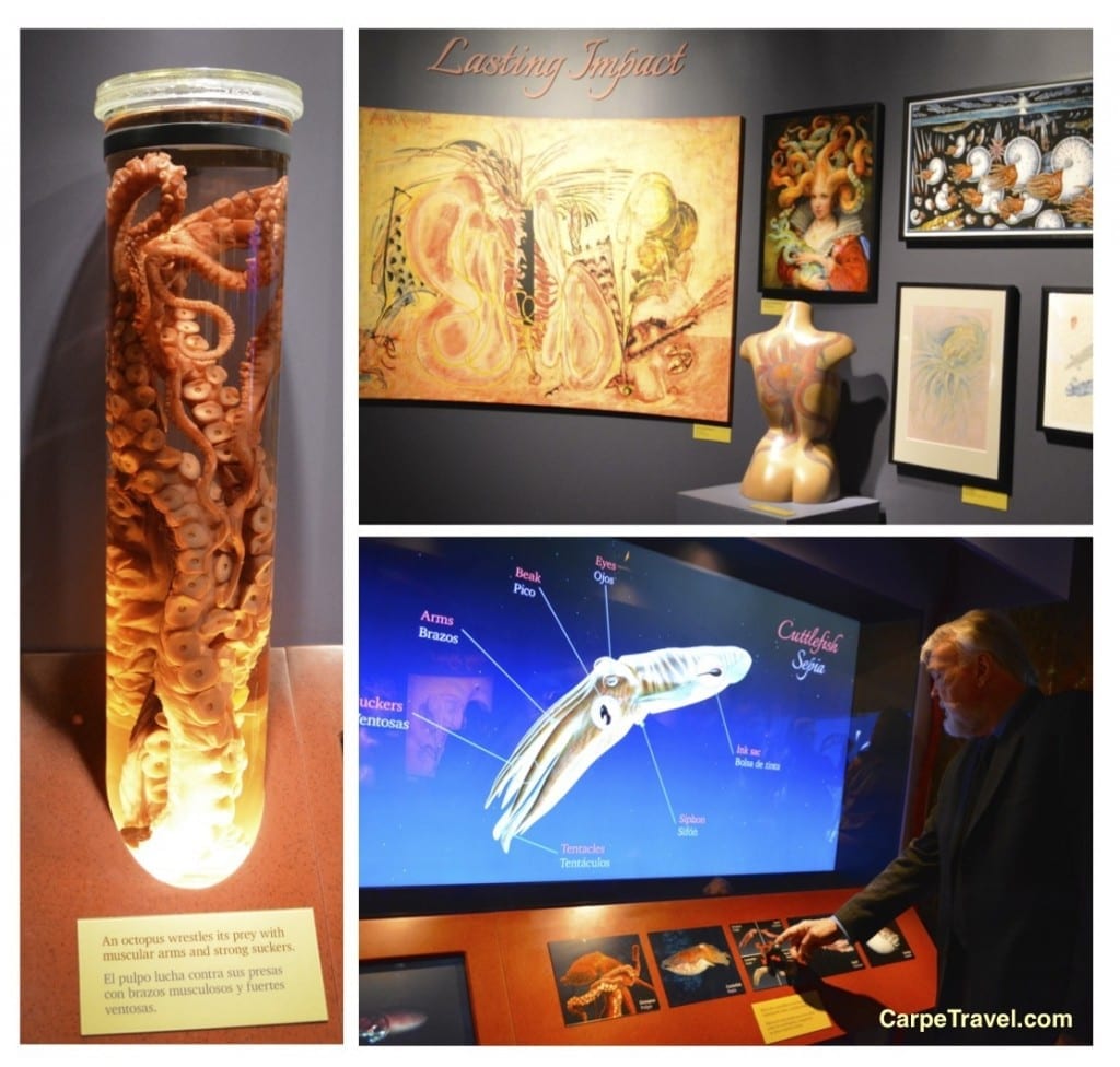 interactive Tentacles Exhibit at Monterey Bay Aquarium 