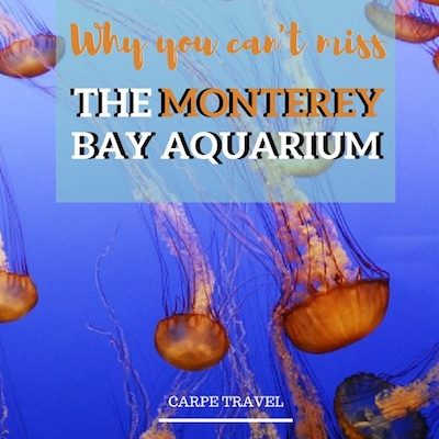 Monterey Bay Aquarium (1) Things to know when visiting the Monterey Bay Aquarium