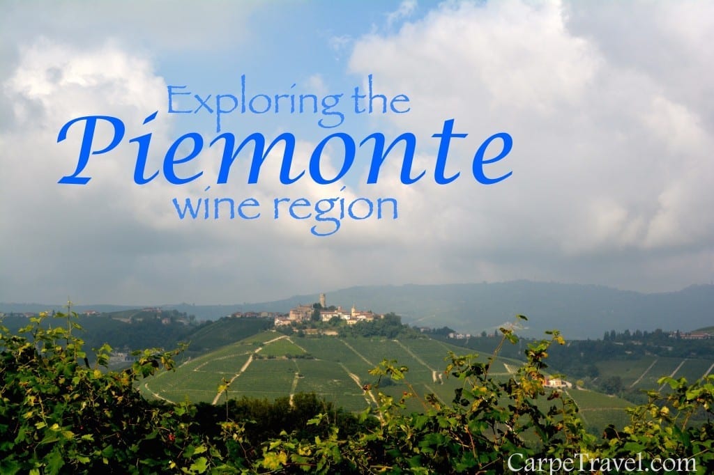 Exploring wines in the Piedmont wine region of Italy