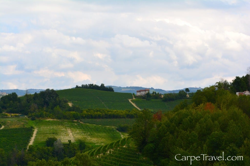 ettore germano vineyard in piedmont wine region