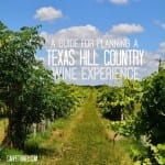 A Guide to Texas Hill Country Wineries