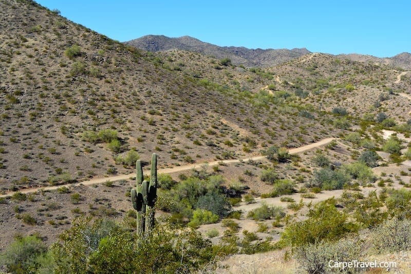 Arizona Grand Resort and Spa offers guided hikes in the nature perserve behind the resort. Click through for a full review of the resort.