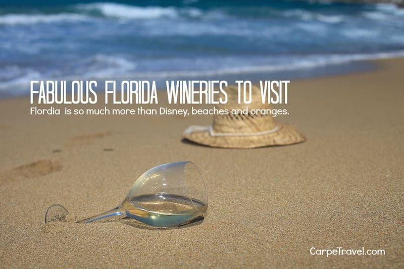 Fablous Flordia Wineries to Visit
