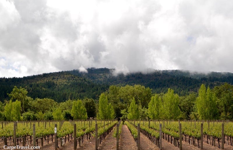 Know Before You Go - Ten Fascinating Facts About Napa Valley — The Wine Chef