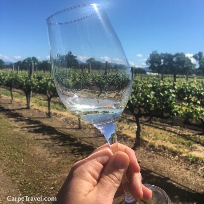 Napa Valley Wine Facts Every Wine Lover Should Know Carpe Travel
