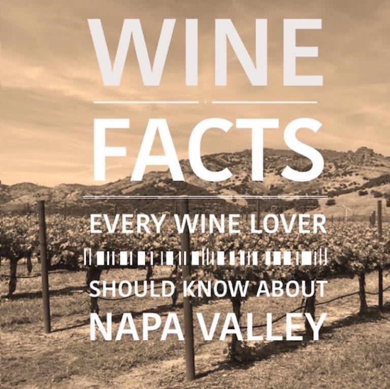 Napa Valley Wine Facts Every Wine Lover Should Know Carpe Travel