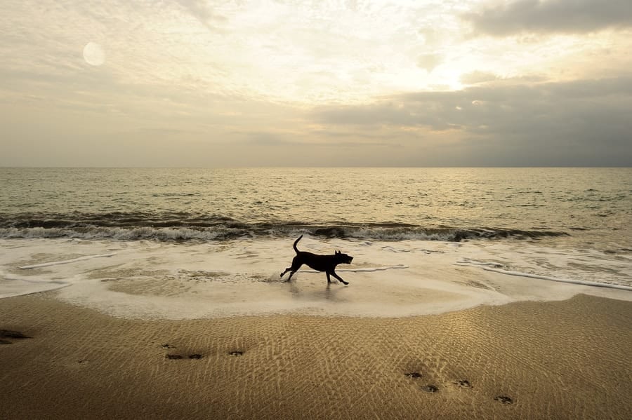 Go Green Travel Tips: Click over for 10 Simple Beach Clean-up Ideas to Help Keep Beaches Clean