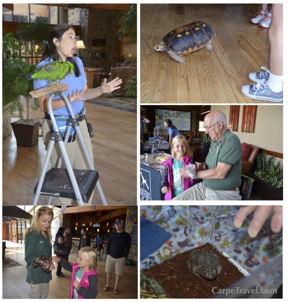 Cheyenne Mountain Resort breakfast with the animals