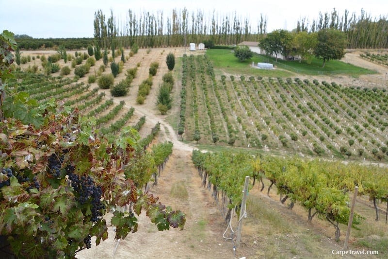 Winery Hotels in the United States: Bitner Vineyards in Idaho is an excellent choice.