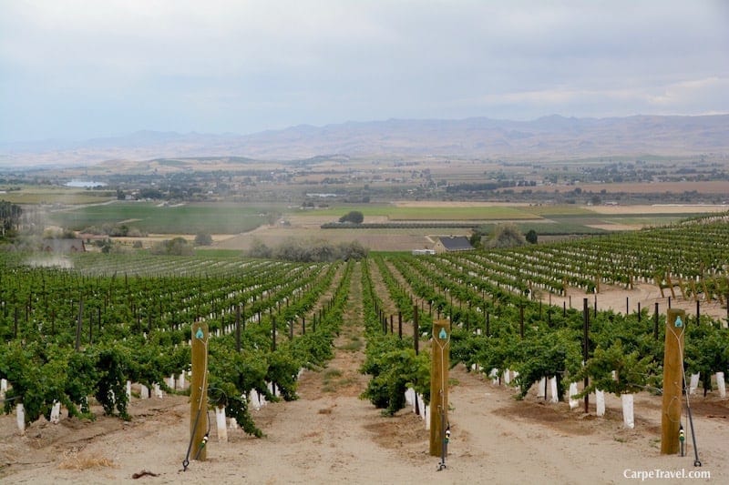 Wineries in Idaho: Fun Facts about Idaho Wine (yes there is wine in Idaho and it's good!)