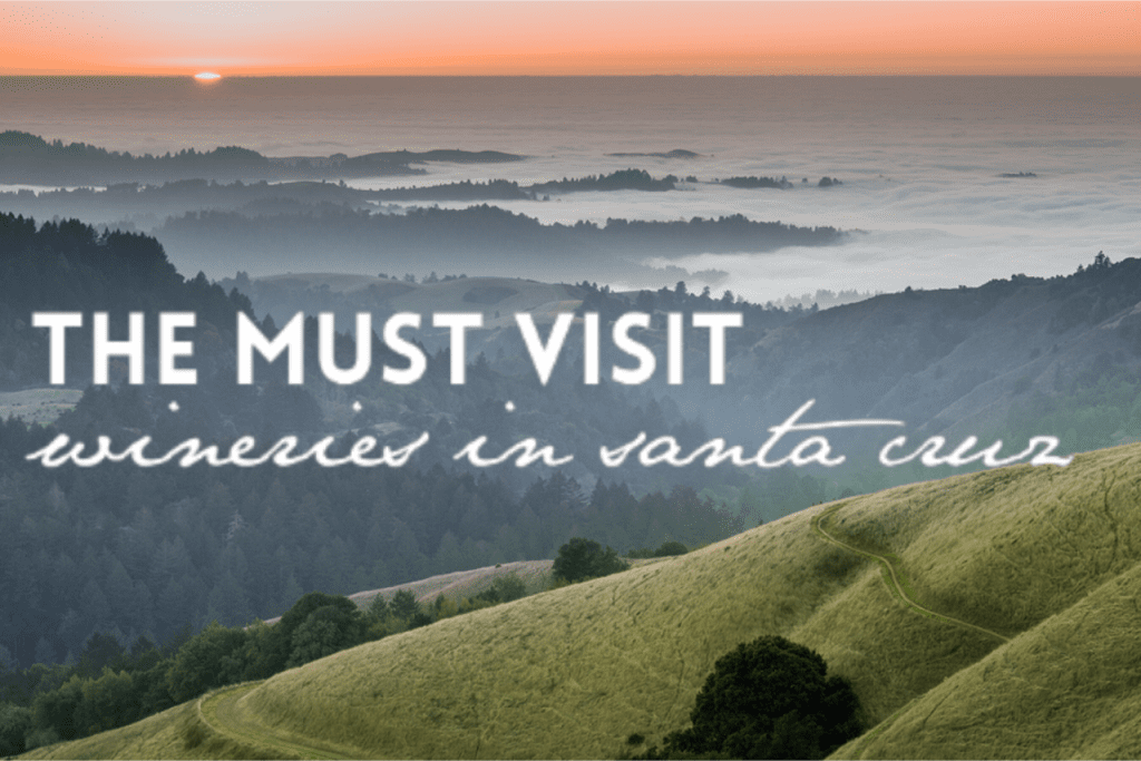 Looking for things to do in Santa Cruz? How about wine tasting? Click over for The MUST visit wineries in Santa Cruz.