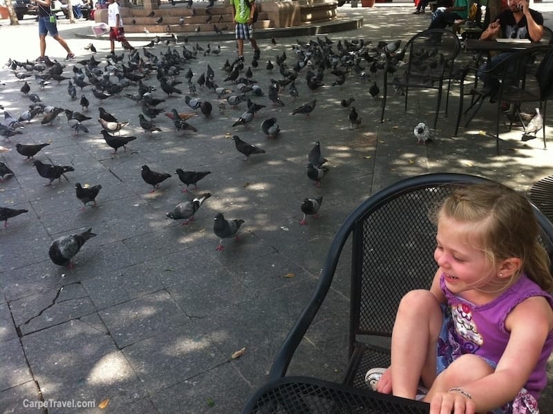Things to do in San Juan with Kids: Visit Parque de las Palomas in Old San Juan and feed the pigeons