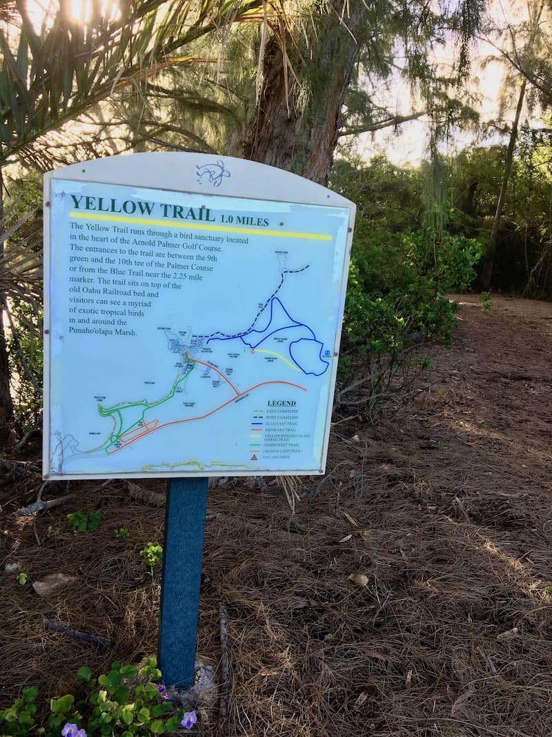 For bird lovers, Turtle Bay Resort is home to a bird preserve located on what’s dubbed the Yellow Trail. I have to admit, I found it quite difficult to locate. I followed the signs along the trail system to access the entrance during one of my morning jogs only to find myself in the middle of the Palmer Golf Course. Luckily one of the members of the golf staff rode over on his cart and pointed me to the trail head. It is located in-between the 9th and 10th tee. Click over for a full review of Turtle Bay Resort.