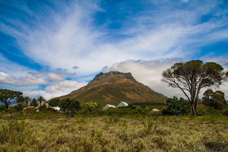 Stellenbosch & Spier Wine Farm: The Cape Winelands in South Africa hold a multitude of hiking trails that wind almost endlessly through this perfect part of the world. These same mountainsides are also home to a wide collection of world famous wine estates where you can enjoy wine tastings, as well as delicious meals paired with carefully selected wines. Click over for where to sip along the way. 