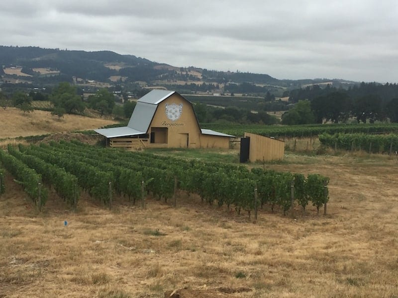 Oregon Wineries not to miss- Bergstrom Winery