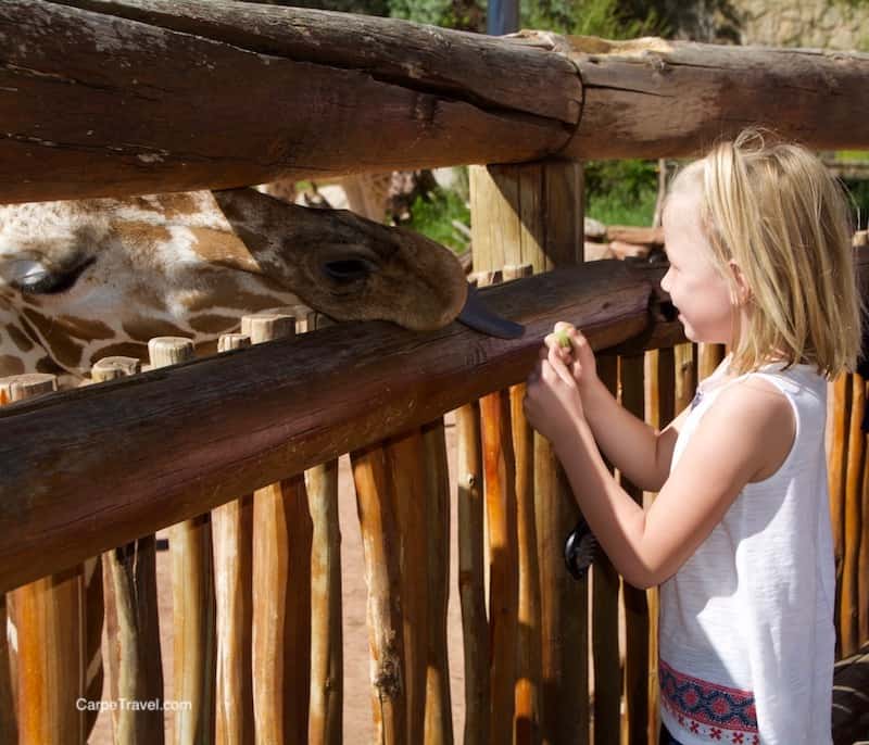 Cheyenne Mountain Zoo = One of the best things to do in Colorado Springs