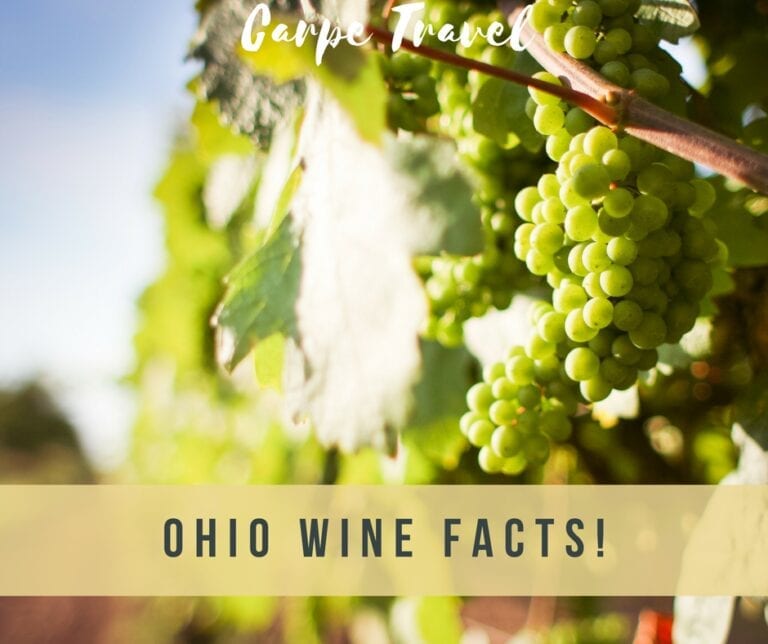 What Every Wine Lover Should Know About Ohio Wine