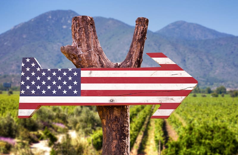 From A to Z: Top Wine Festivals in Every State Not to Miss!