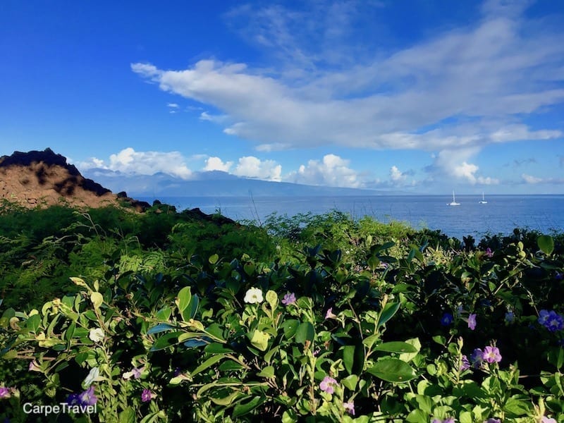 Heading to Maui? Read Carpe Travel's in-depth review of the Westin Nanea, luxury all-villa - family friendly - beach resort in Maui.