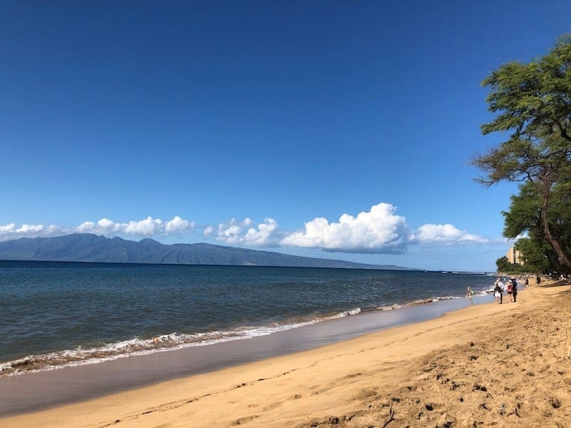 westin nanea beach