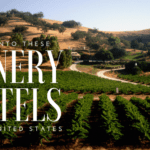 Sip and Stay: Winery Hotels in the United States