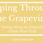 Sipping Through the Grapevine
