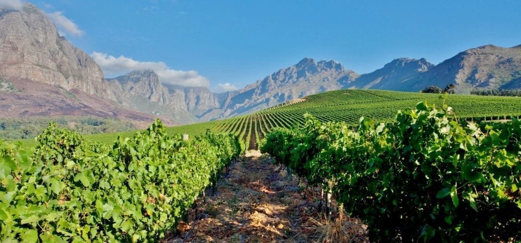 Fairview Wine Farm - One of the Top 10 Must Sip Cape Town Wineries