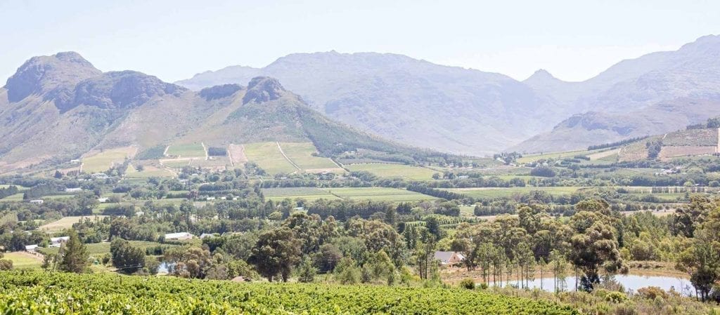 La Motte Wine Estate - One of the Top 10 Must Sip Cape Town Wineries