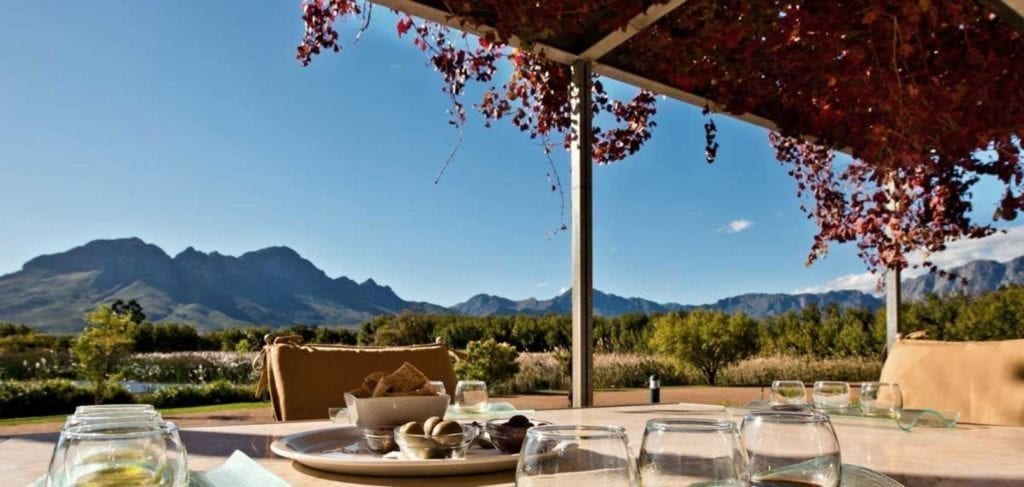 Morgenster Wine and Olive Estate - One of the Top 10 Must Sip Cape Town Wineries