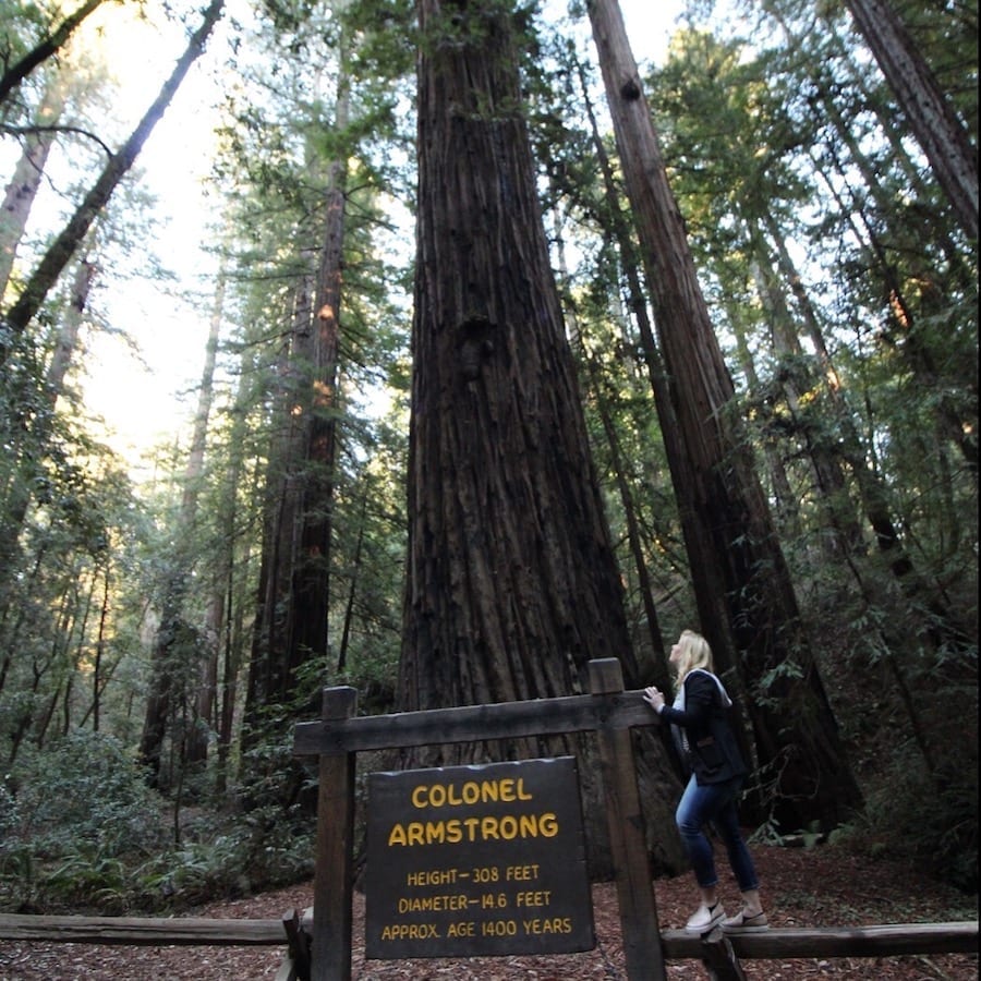 Armstrong Redwoods State Natural Reserve - Best Things to Do in Sonoma County with Tweens and Teens