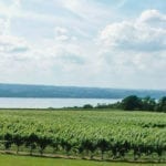 The Finger Lakes: The Tastiest Wine Region on the East Coast