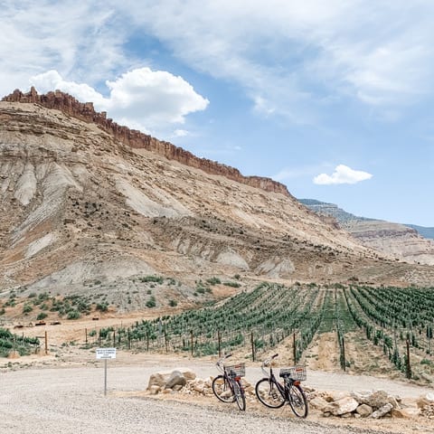 Colorado Wine Region