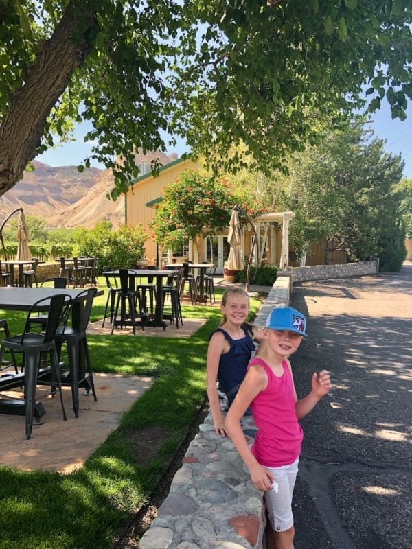 The Palisade Fruit and Wine Byway