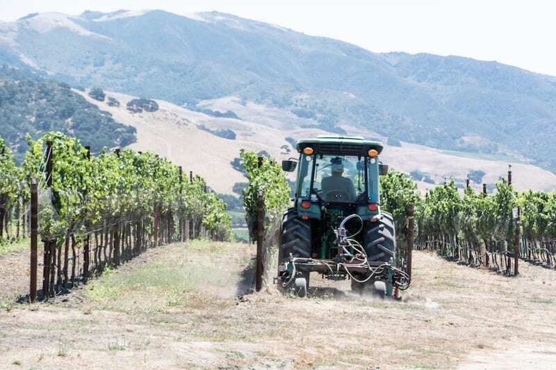 Pence Vineyards, one of the Santa Ynez Valley wineries not to miss