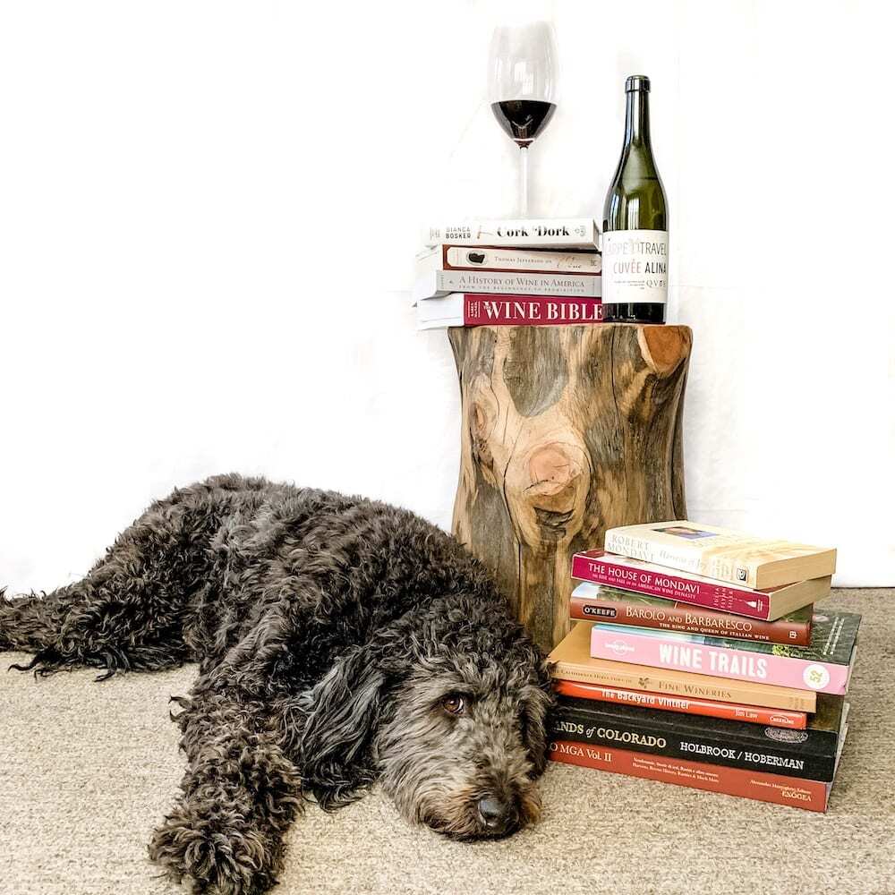 The Best Wine Books to Pour Into