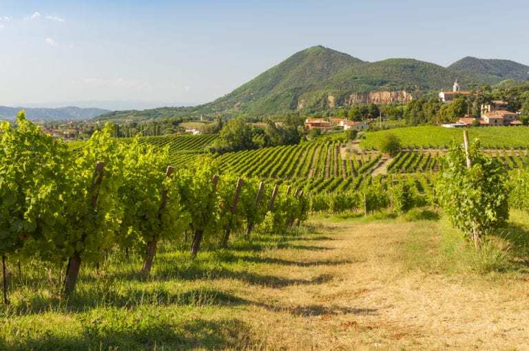 Sipping Your Way Through History: 10 World Heritage Sites in Wine Country
