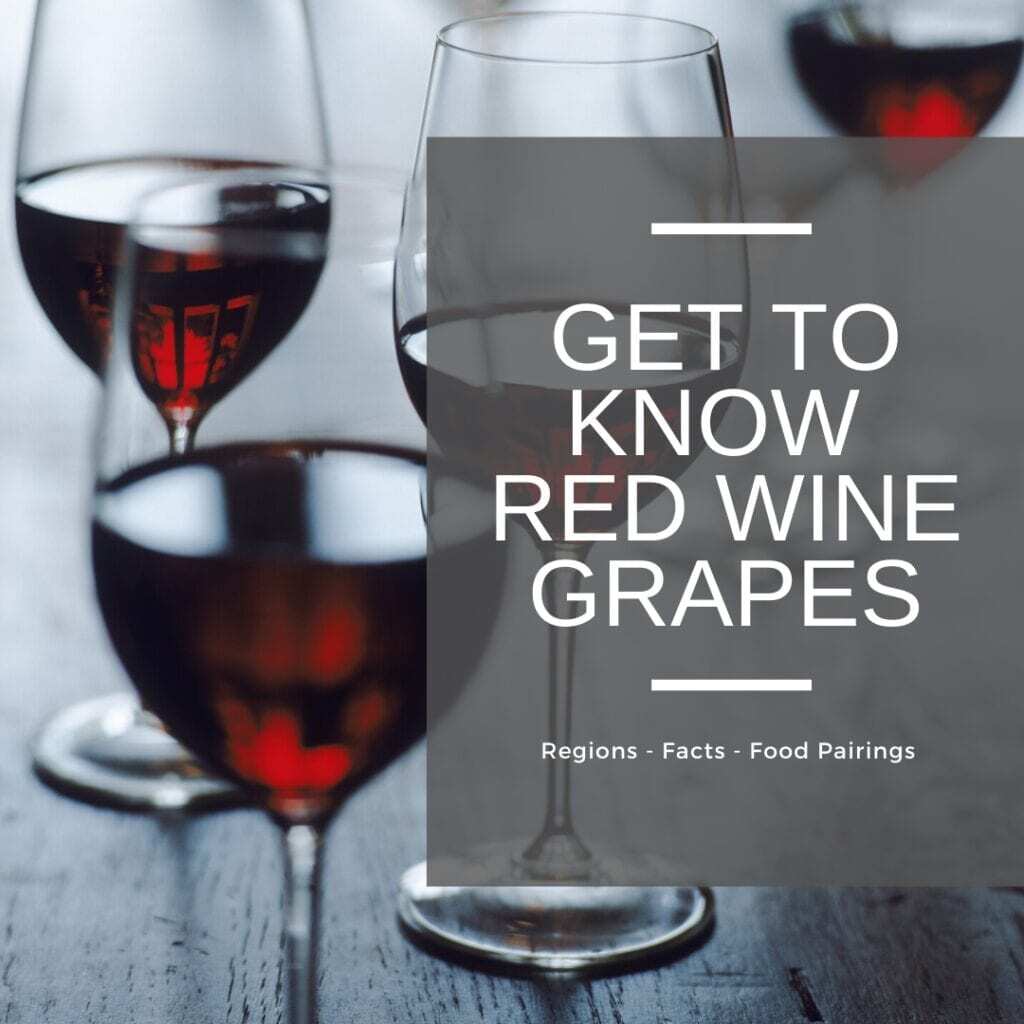 get to know red wine grapes